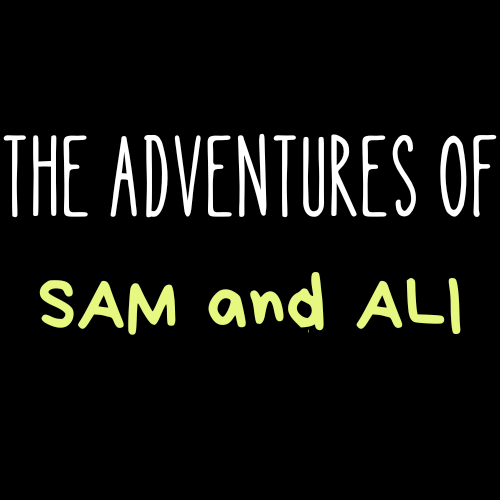 The Adventures of Sam and Ali